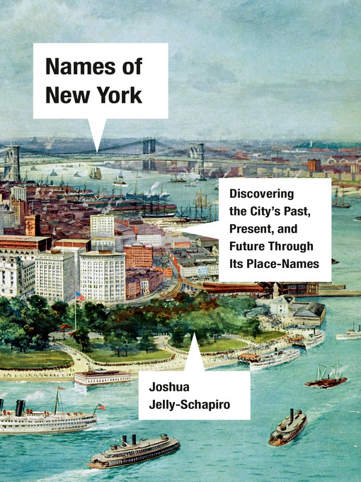 Title details for Names of New York by Joshua Jelly-Schapiro - Wait list